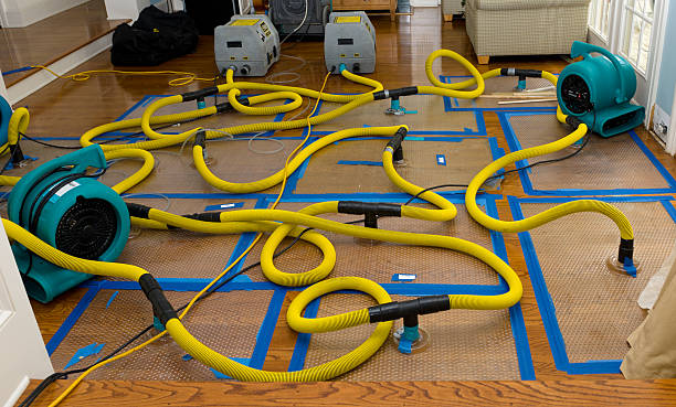 Professional Emergency Water Removal technician working in Maud, OK